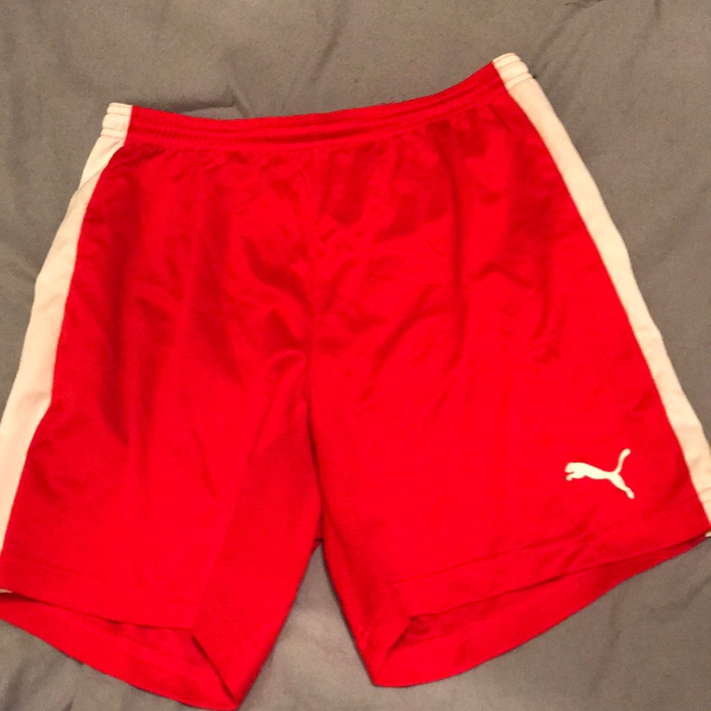 Puma women’s running shorts